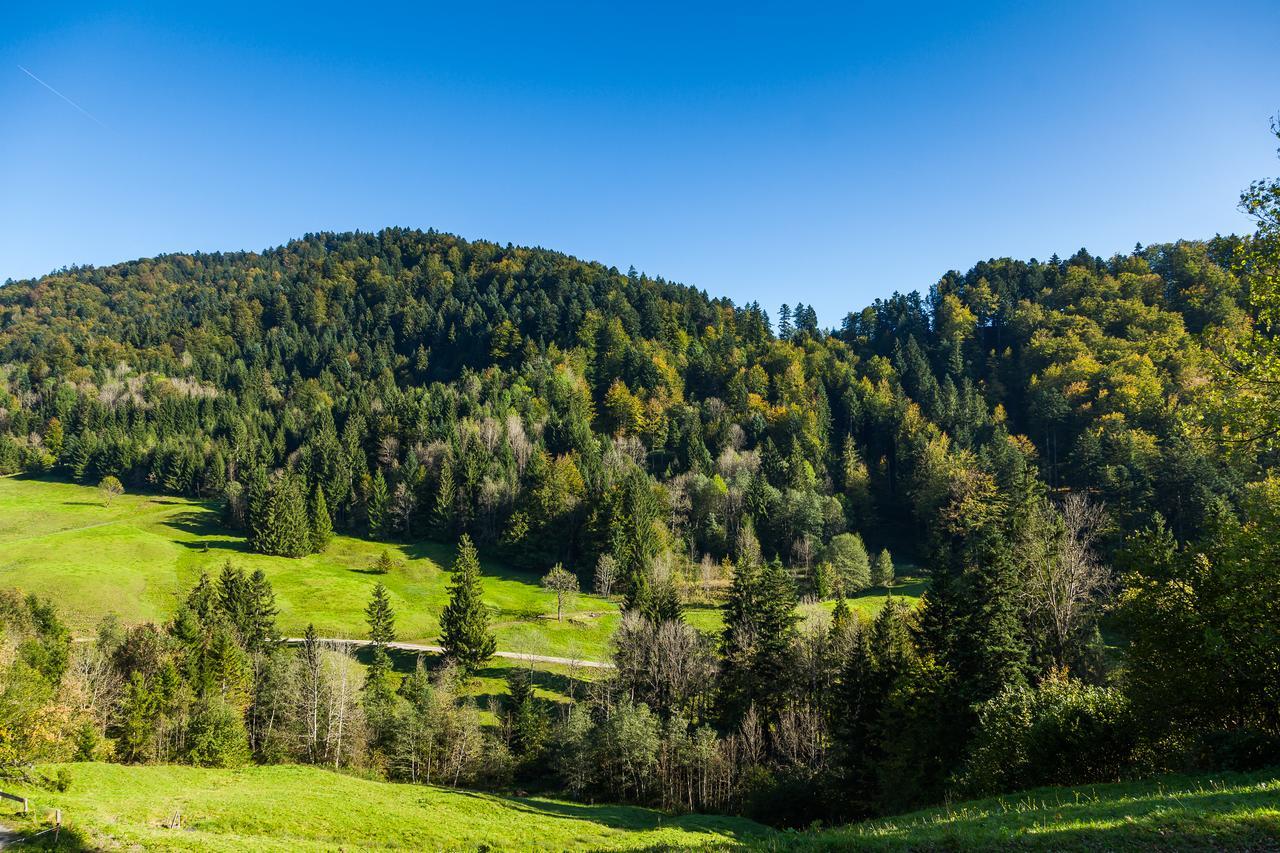 Hotel Bad Rain Mit Oberstaufen Plusgolf Eksteriør bilde